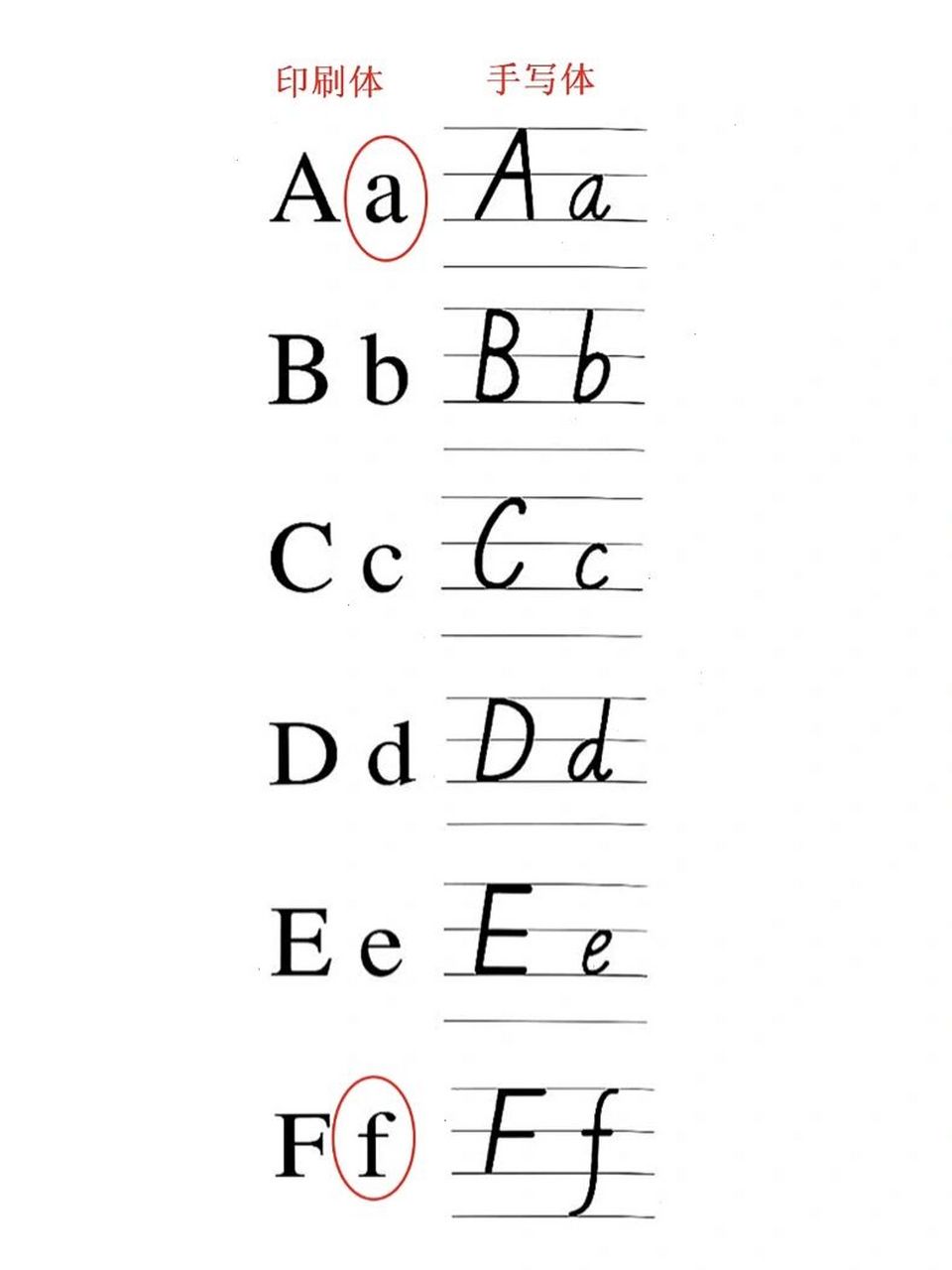26个英文字母印刷体和手写体的区别 规范26个英文字母,手写体与印刷体