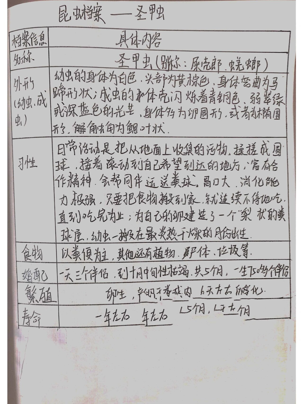 《昆虫记》昆虫档案——圣甲虫
