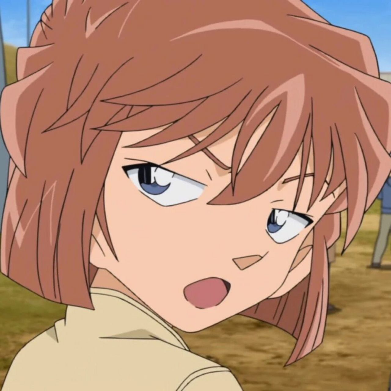 灰原哀经典语录 名柯1,夕阳,把世界都染红的太阳的末日.