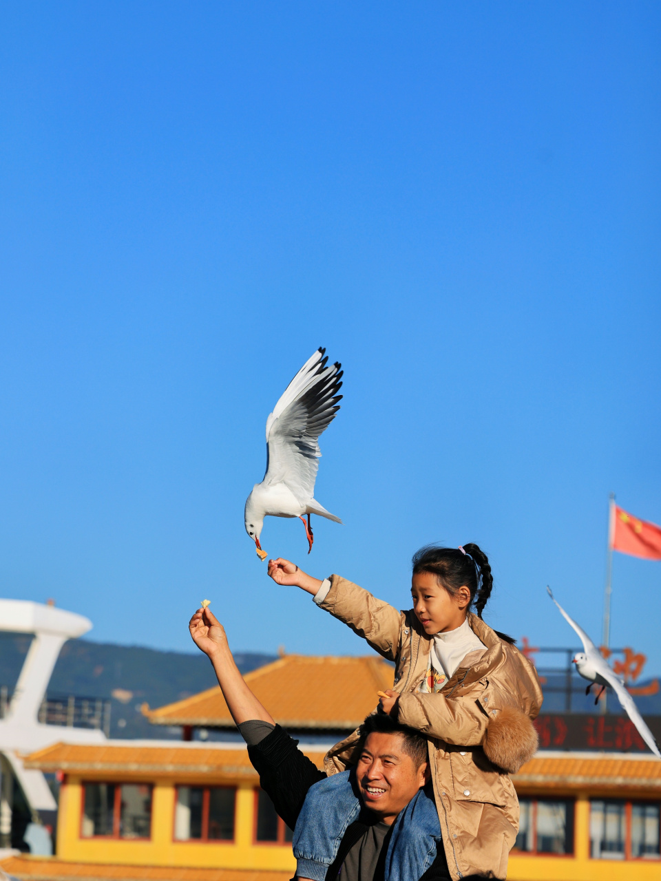 昆明滇池大坝,冬日看海鸥,风景独好!