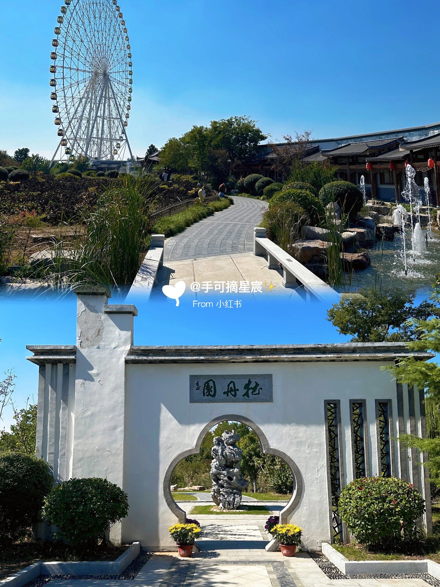 泰安遛娃|泰山花海·天颐湖景区