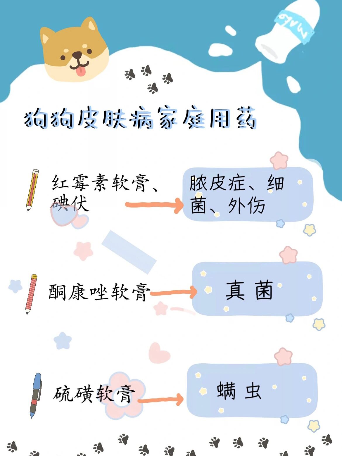 狗狗皮肤病自检及治疗方法