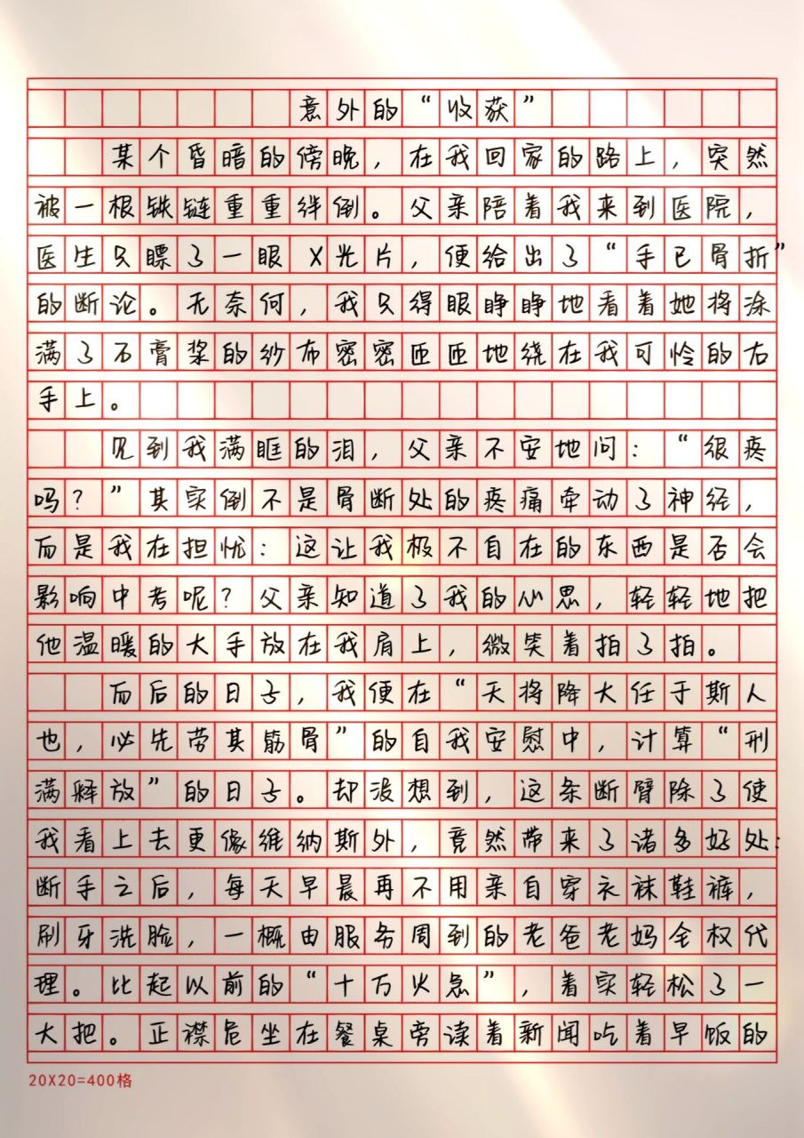 优秀作文赏析|《意外的收获》