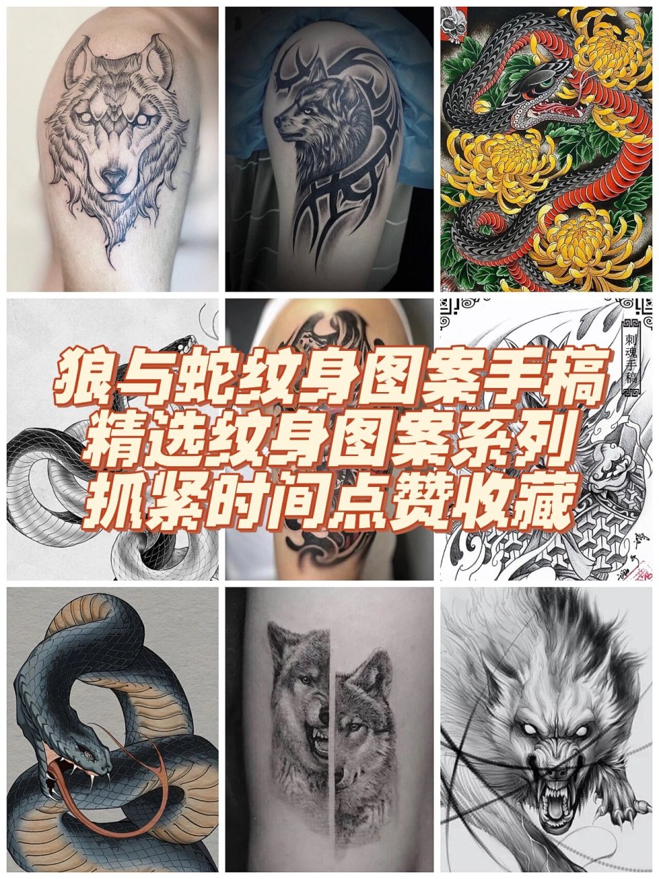 蛇纹纹身手稿 狼与蛇纹身图案/满背手背脚背纹身/胸口狼头大臂小臂