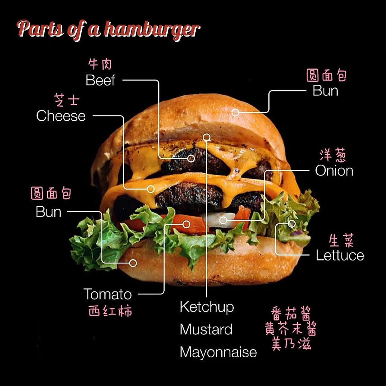 一只汉堡包92的组成部分 92一只汉堡包的组成部分