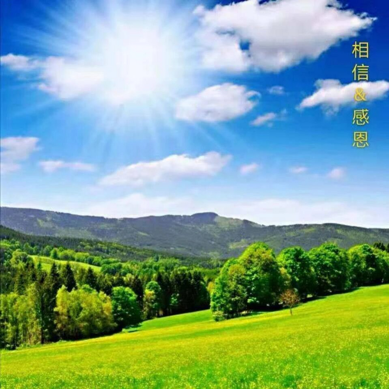 挑战 今天分析的是风景类头像 这是一位70后男性的头像 蓝天白云 一望