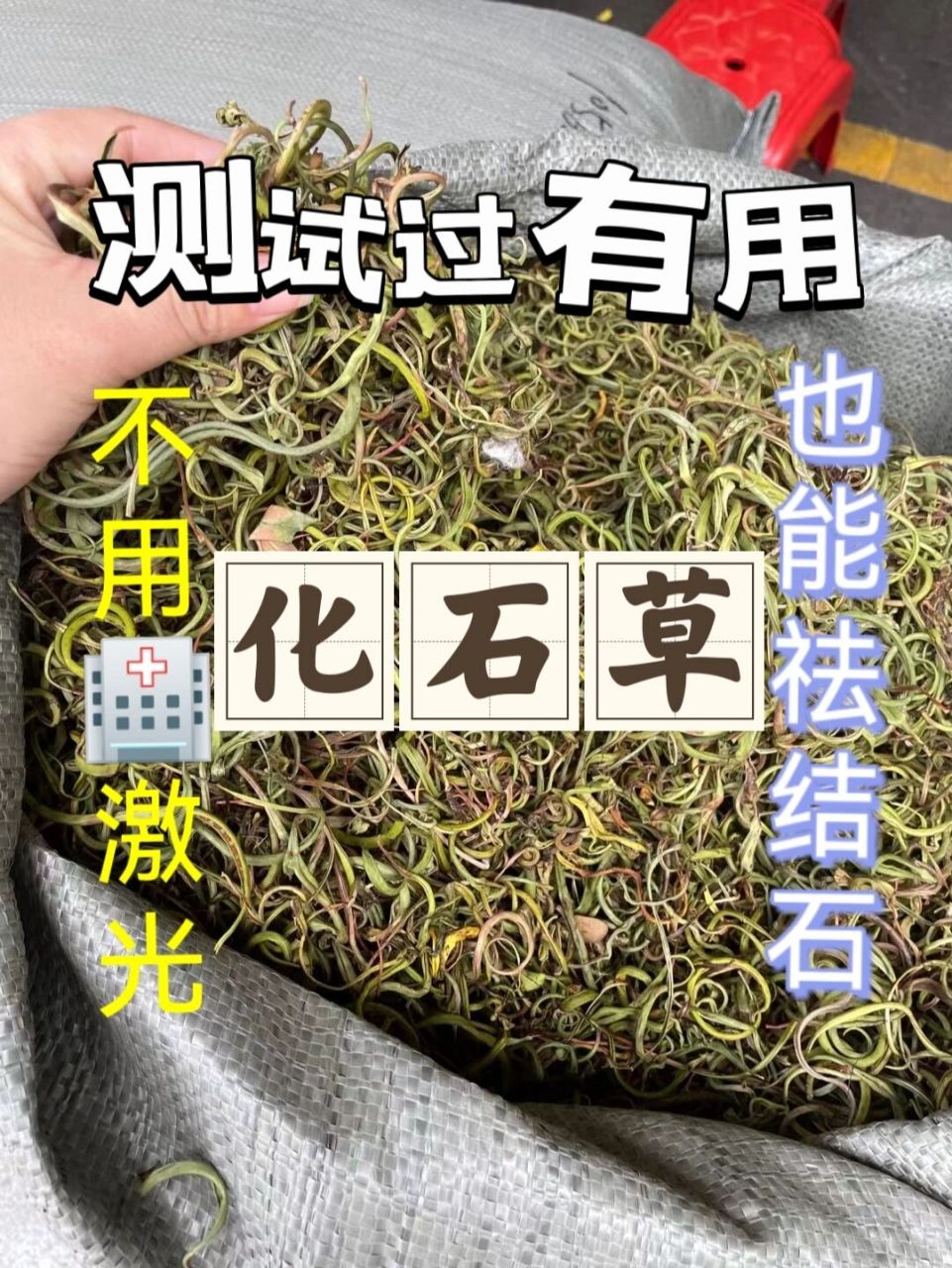 化石草(也叫肾精草,排石草) 96益肾利水(冲