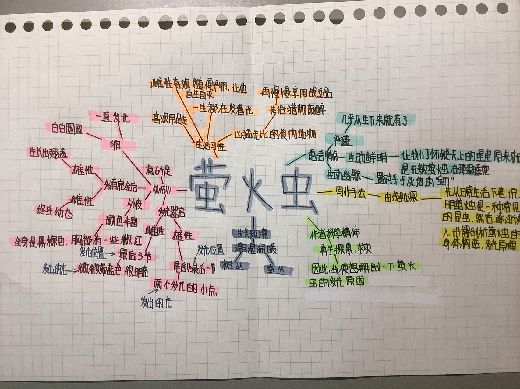 昆虫记人物思维导图图片