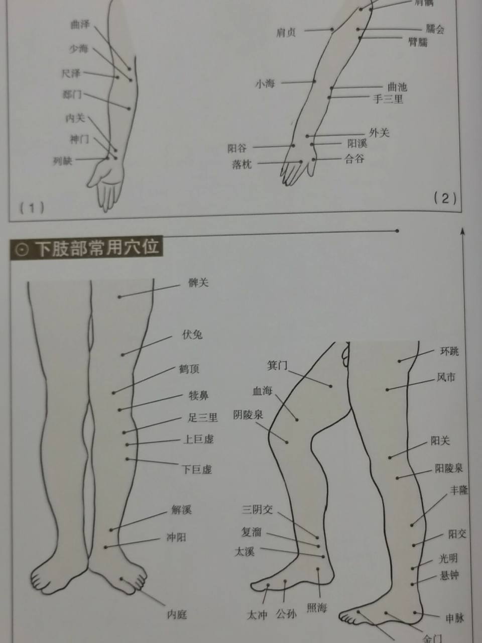 拔罐:穴位,功效