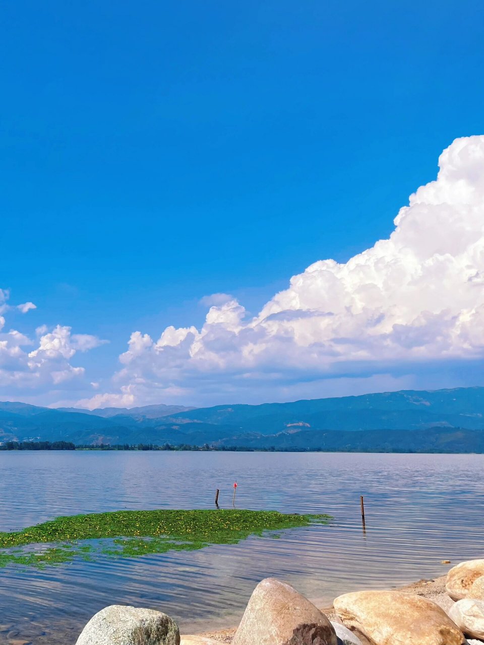 坠入宫崎骏的夏天7815      海风浪漫 日光温柔 一路皆是风景