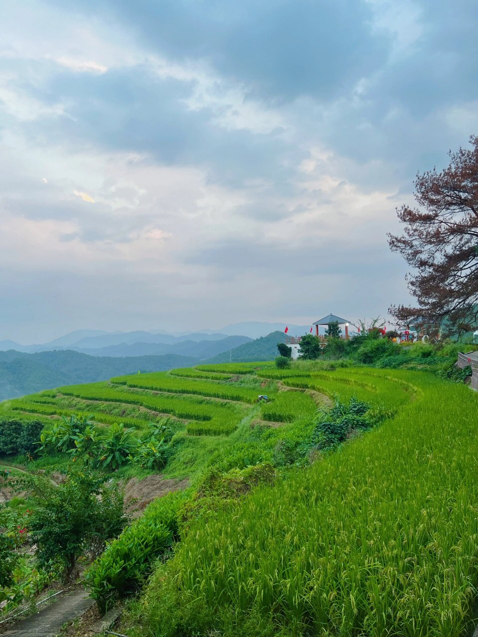 时间很充裕 景色真的很不错90     花萼楼门票:1090 梯田门票现场