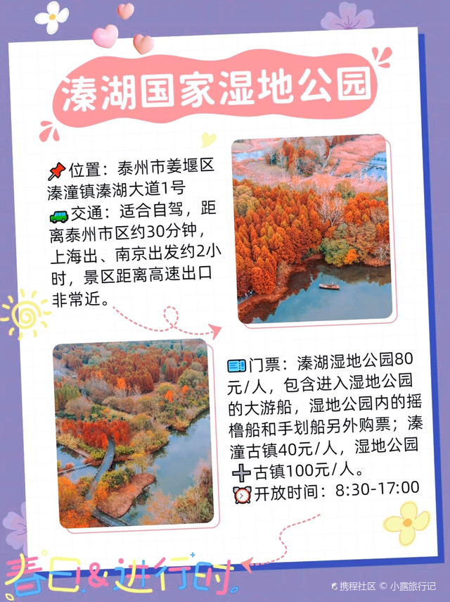 溱湖国家湿地公园