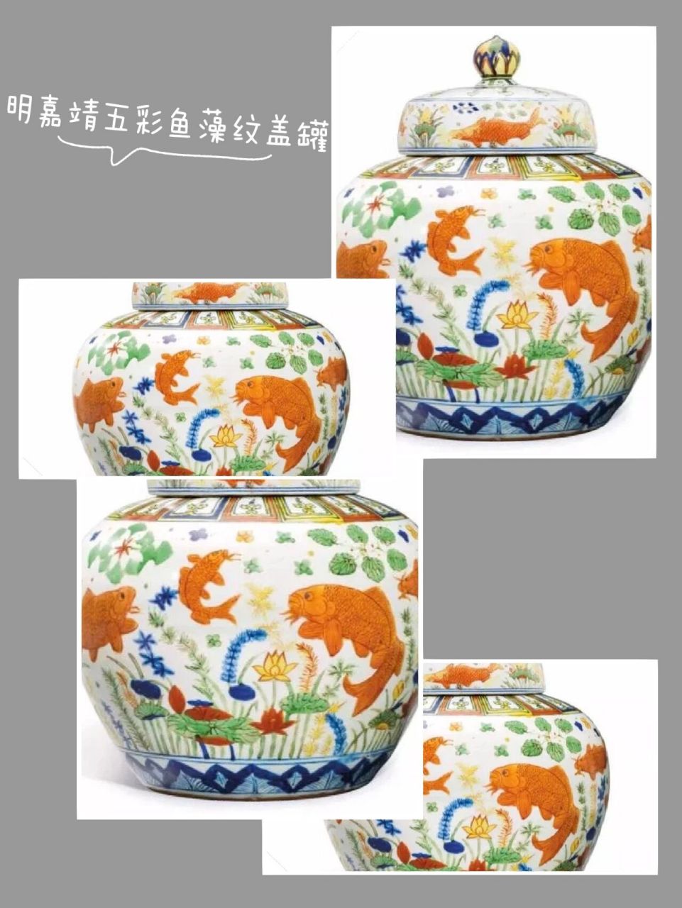 每日一宝 |明嘉靖五彩鱼藻纹盖罐 高:46厘米  口径:19.