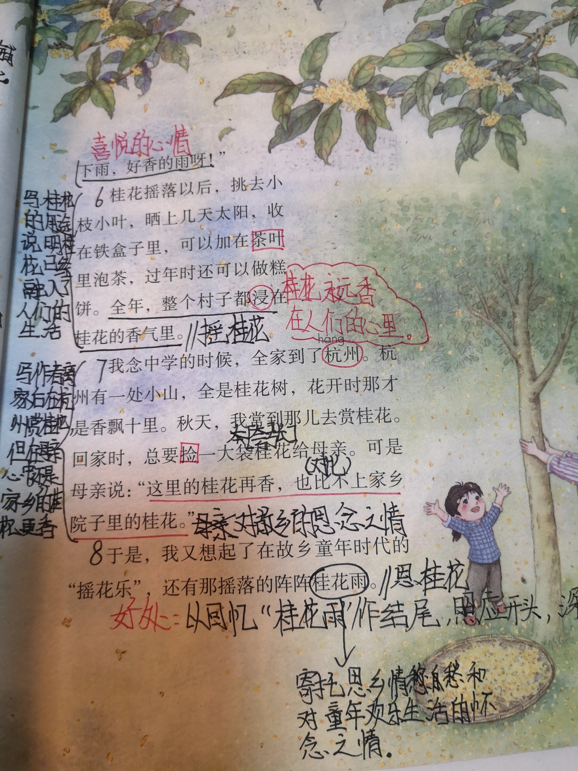 五下语文第三课桂花雨课堂笔记