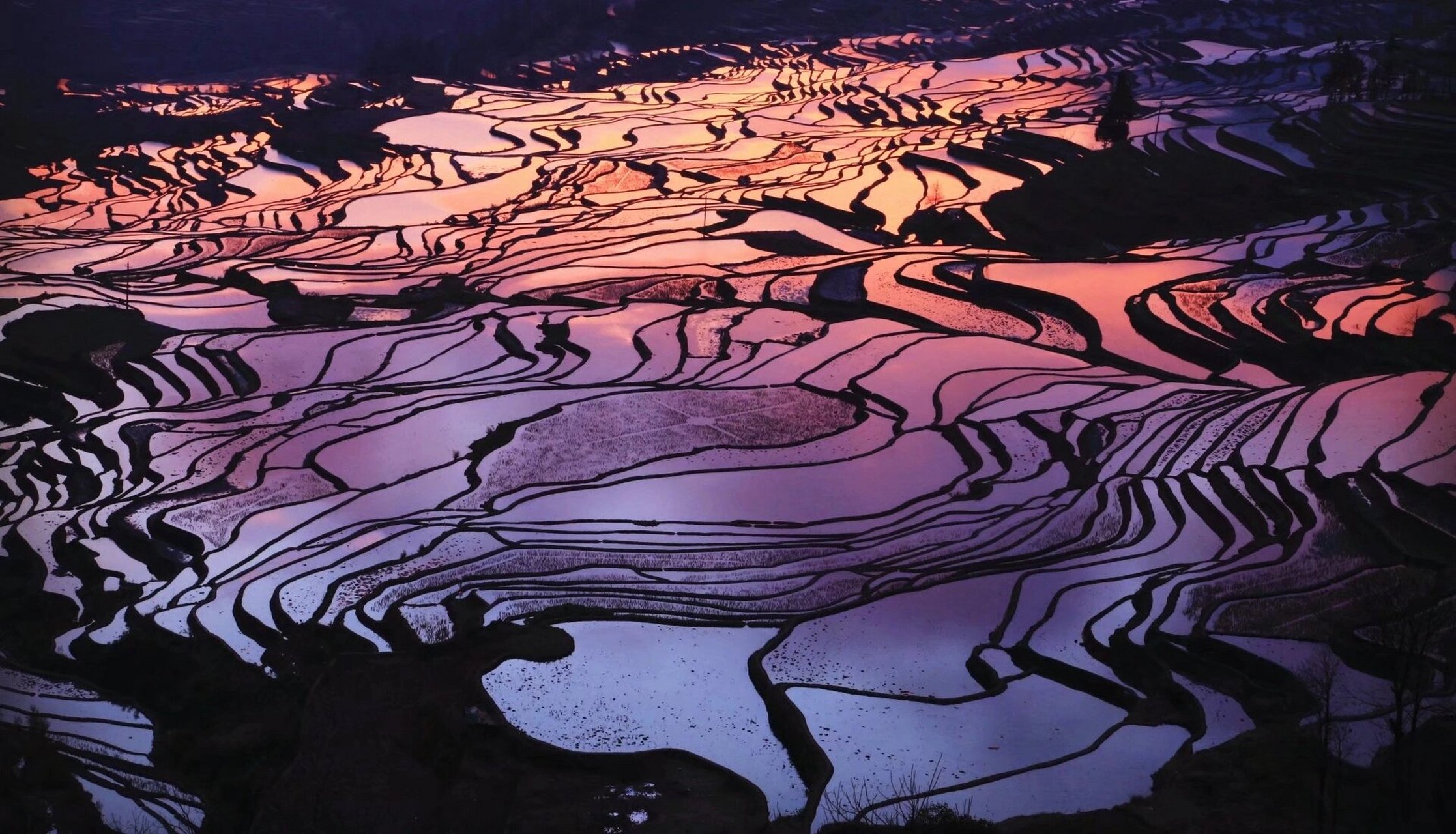 梯田日出 元阳梯田多依树景区是日出最佳观赏点.