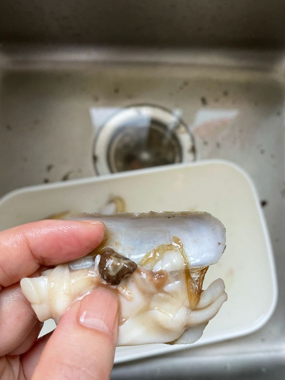 炒蛏子你有清理内脏吗?