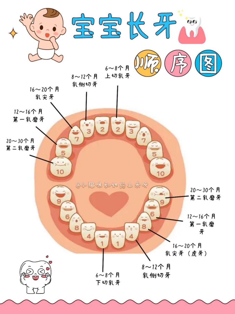 孩子长牙时间表图图片