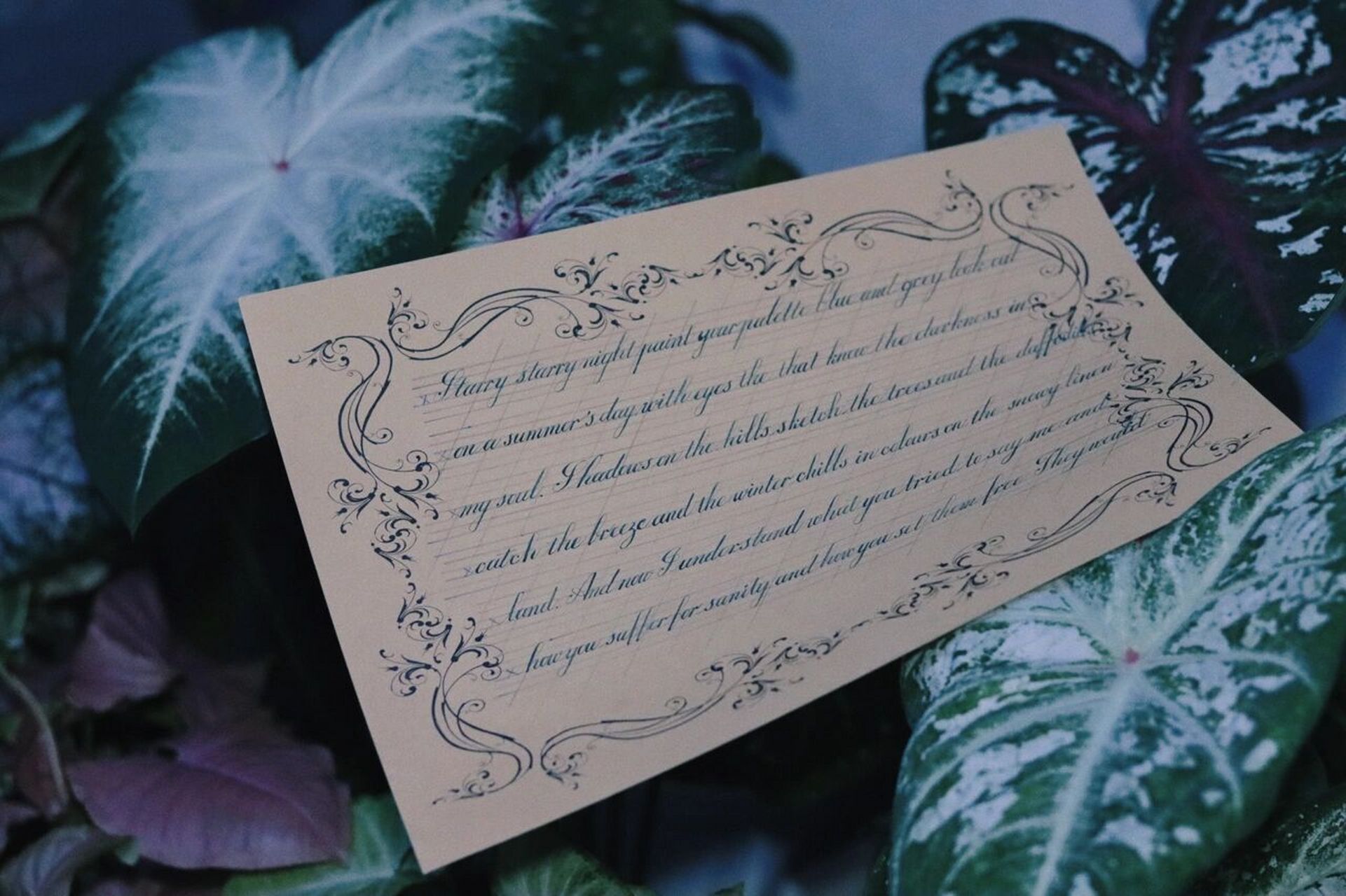 英文书法练习|歌词|vincent 这首歌的词儿实在是词藻华丽!