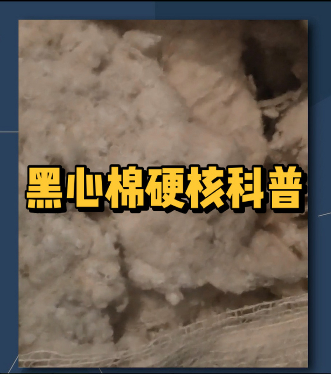 如何辨别? 16615什么是黑心棉 ?
