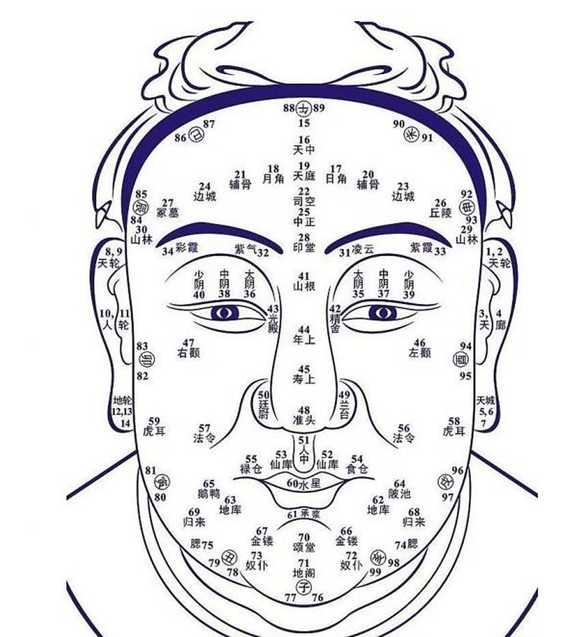 肉痣长在哪里都算好的, 不过长到发采位置更好, 比如地库,耳垂,眉毛