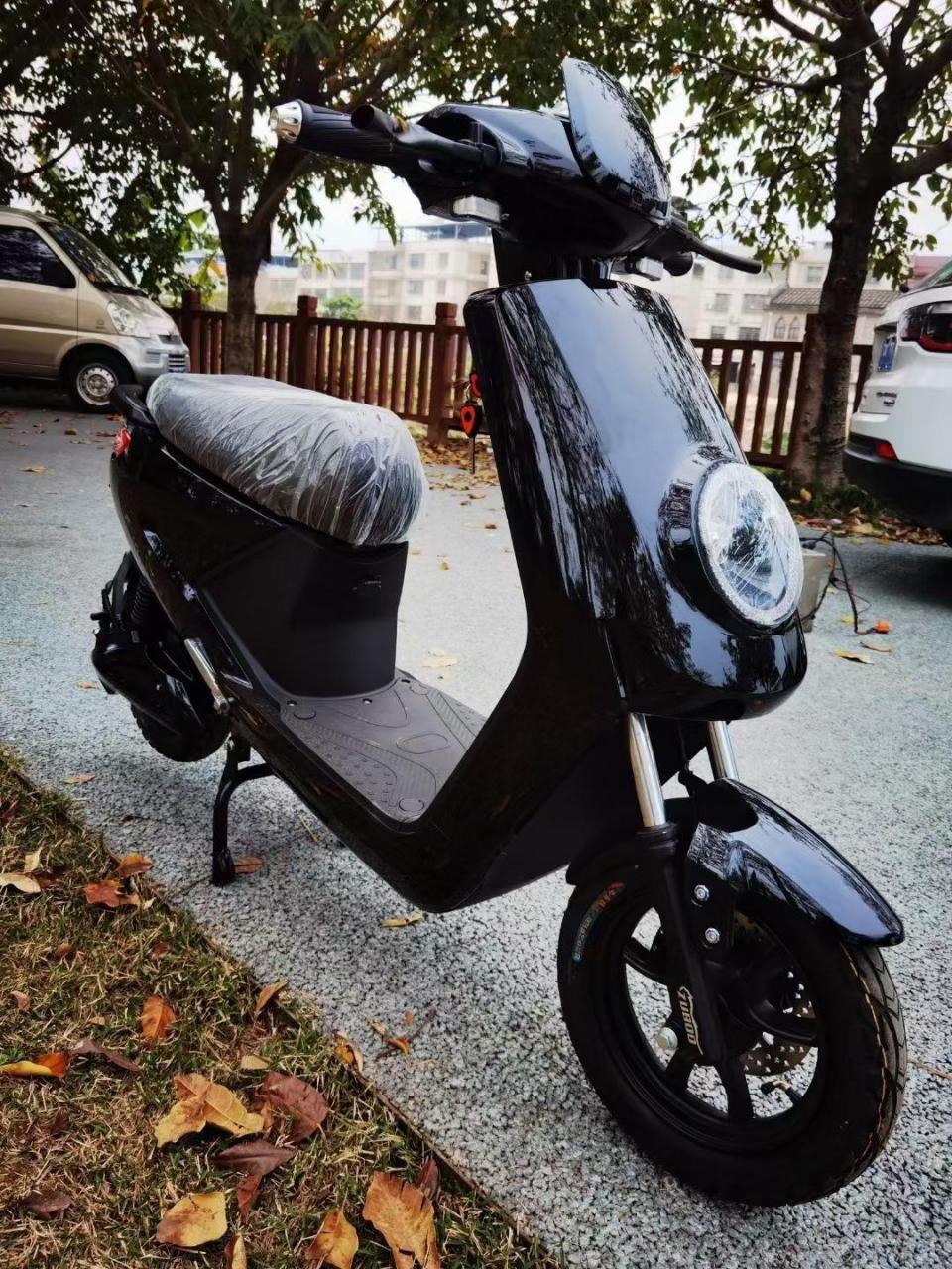 经典老标小s,前后碟刹,极速60,续航55公里,全新电池保一年,新车新电池