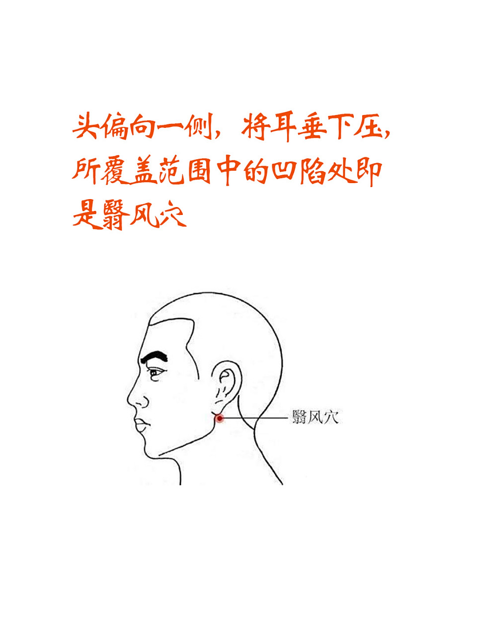 风邪入体就容易出现痛症,今天我们分享一个调理耳痛和耳周围疼痛的