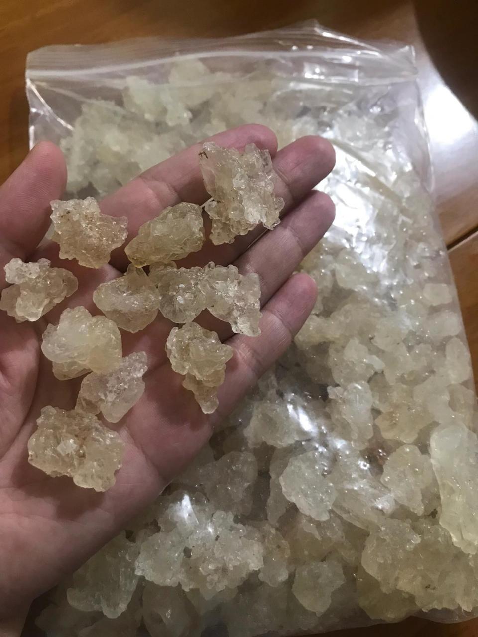 雪燕怎么辨别真假图片