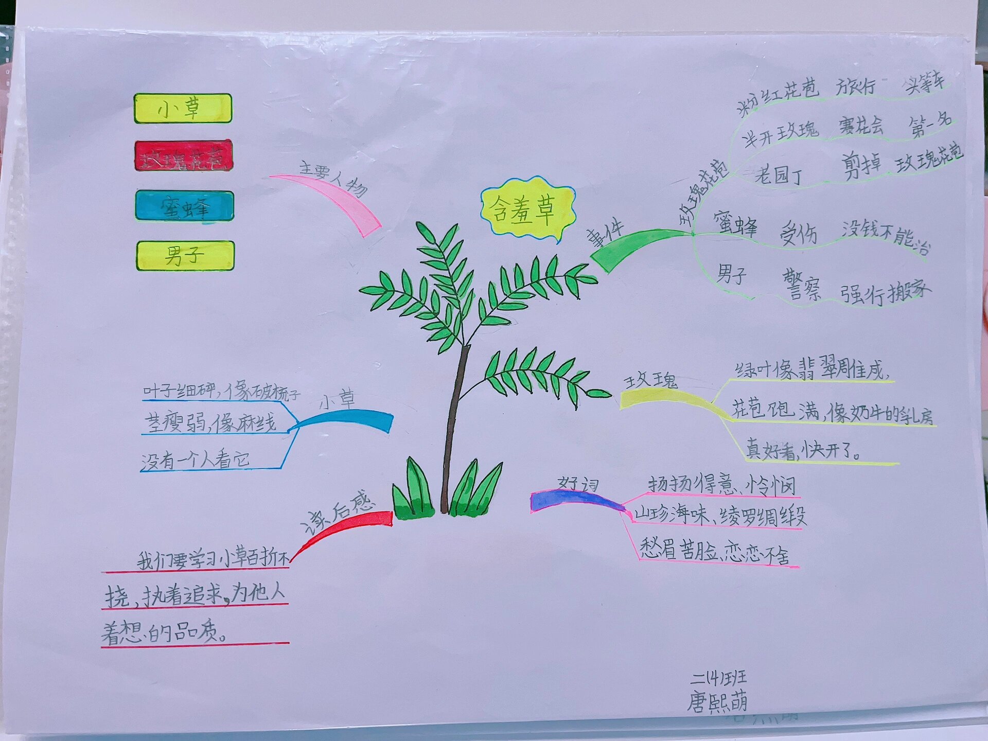 稻草人思维导图高清图片