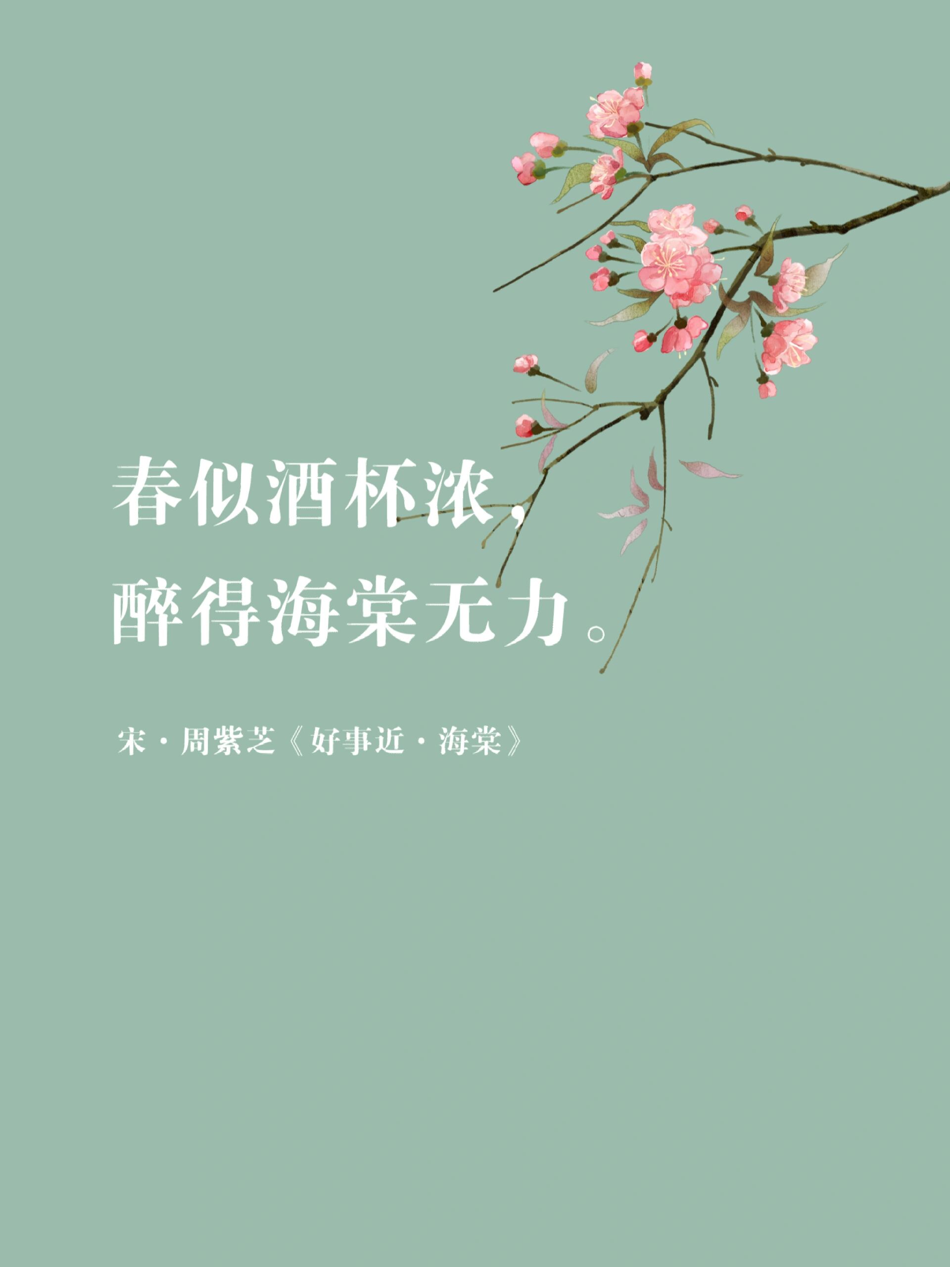 诗词摘抄|海棠花开依旧 春天花事忙