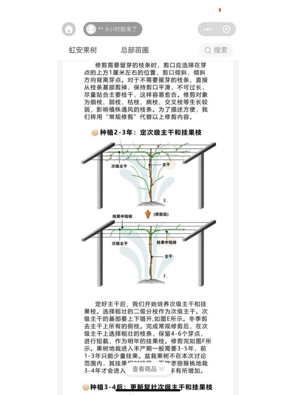 软枣猕猴桃搭架方法图片