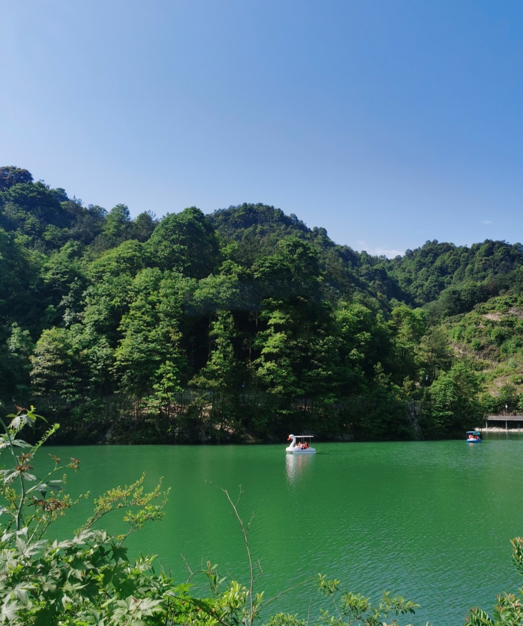 永康游玩推荐|岗谷岭景区|好山好水好天气 永康以及附近的小伙伴可以
