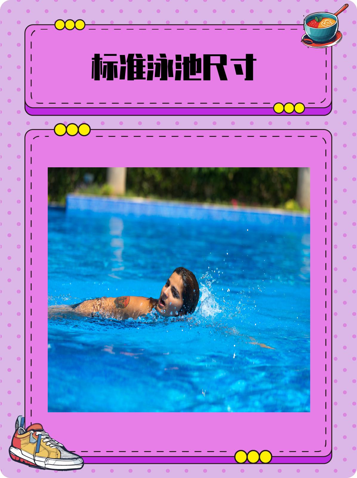 标准泳池尺寸