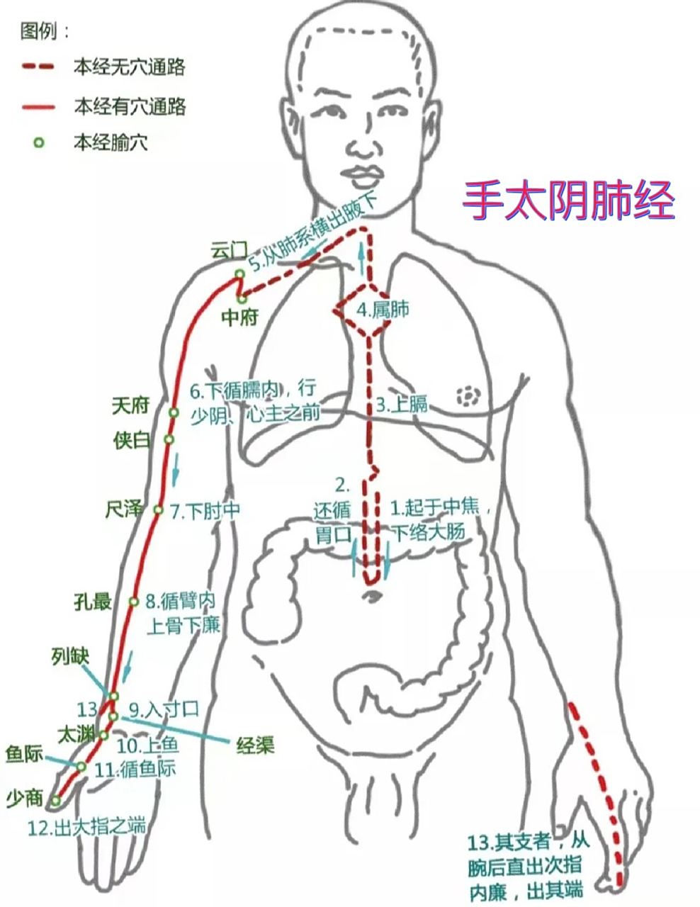 十二经络循行图