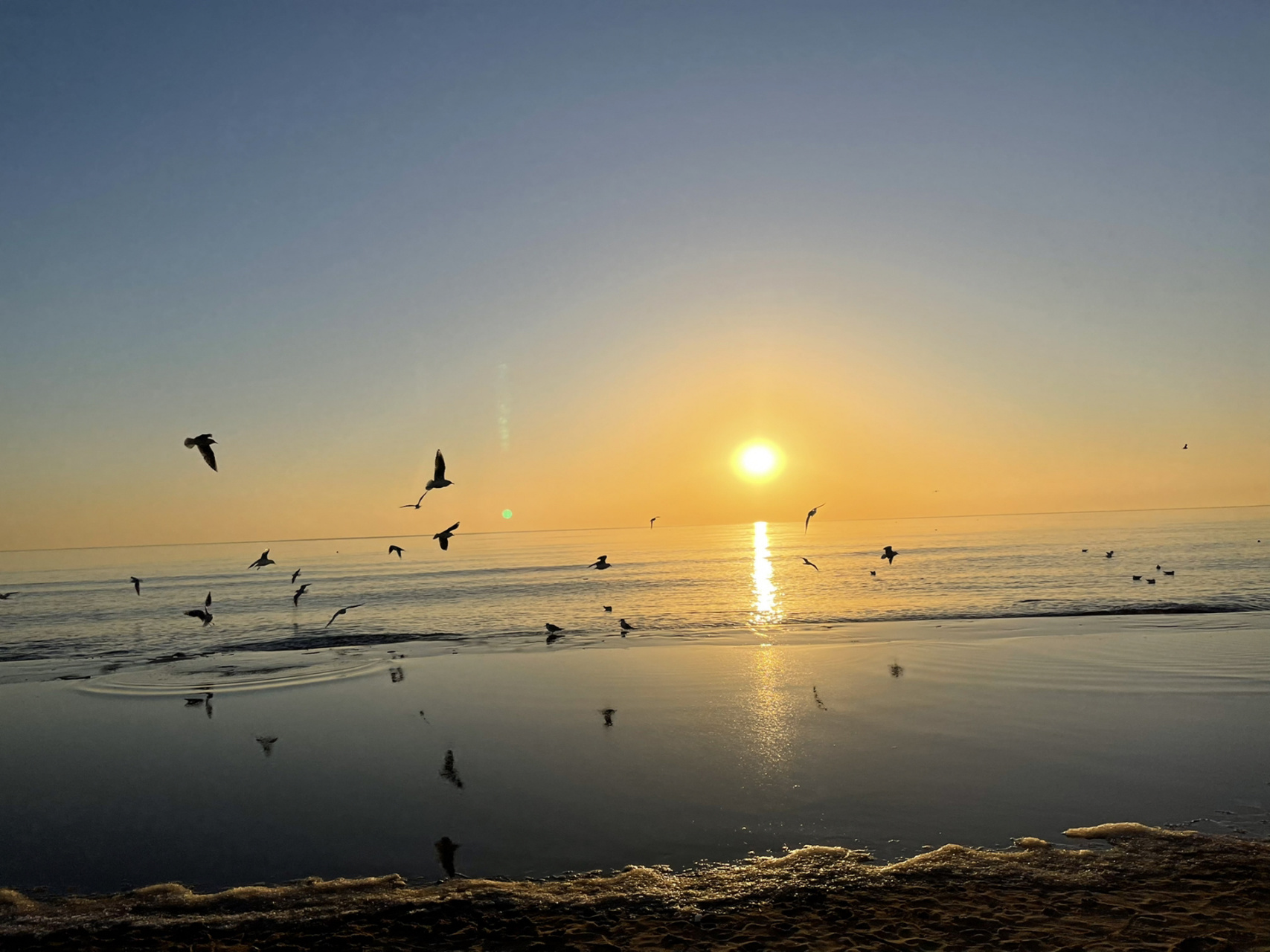 秦皇岛黄金海岸 周五下午出发 四个小时到达周日中午返回日出非常美