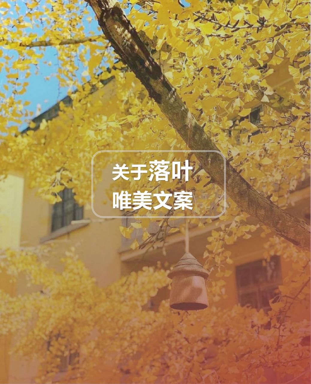 落叶的唯美文案 || 高级小短句 1,落叶之秋,微风徐来.