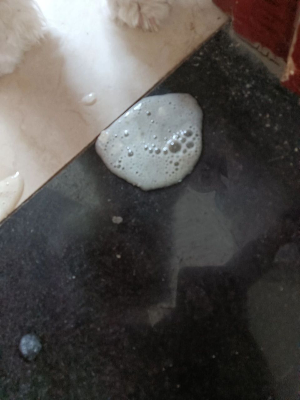 小比熊今天早上又吐了 小比熊今天早上又吐了,是这种白色的带泡沫的