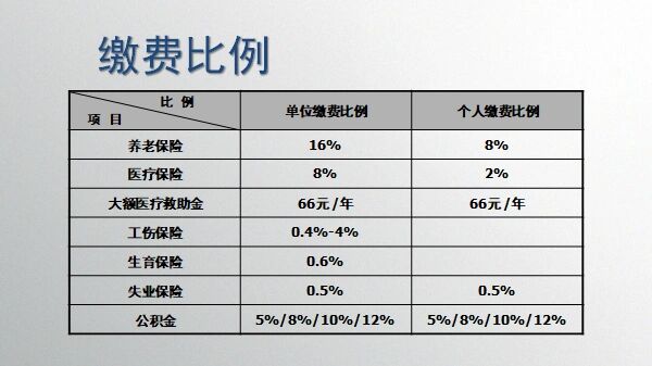 沈阳失业金领取标准及计算金额
