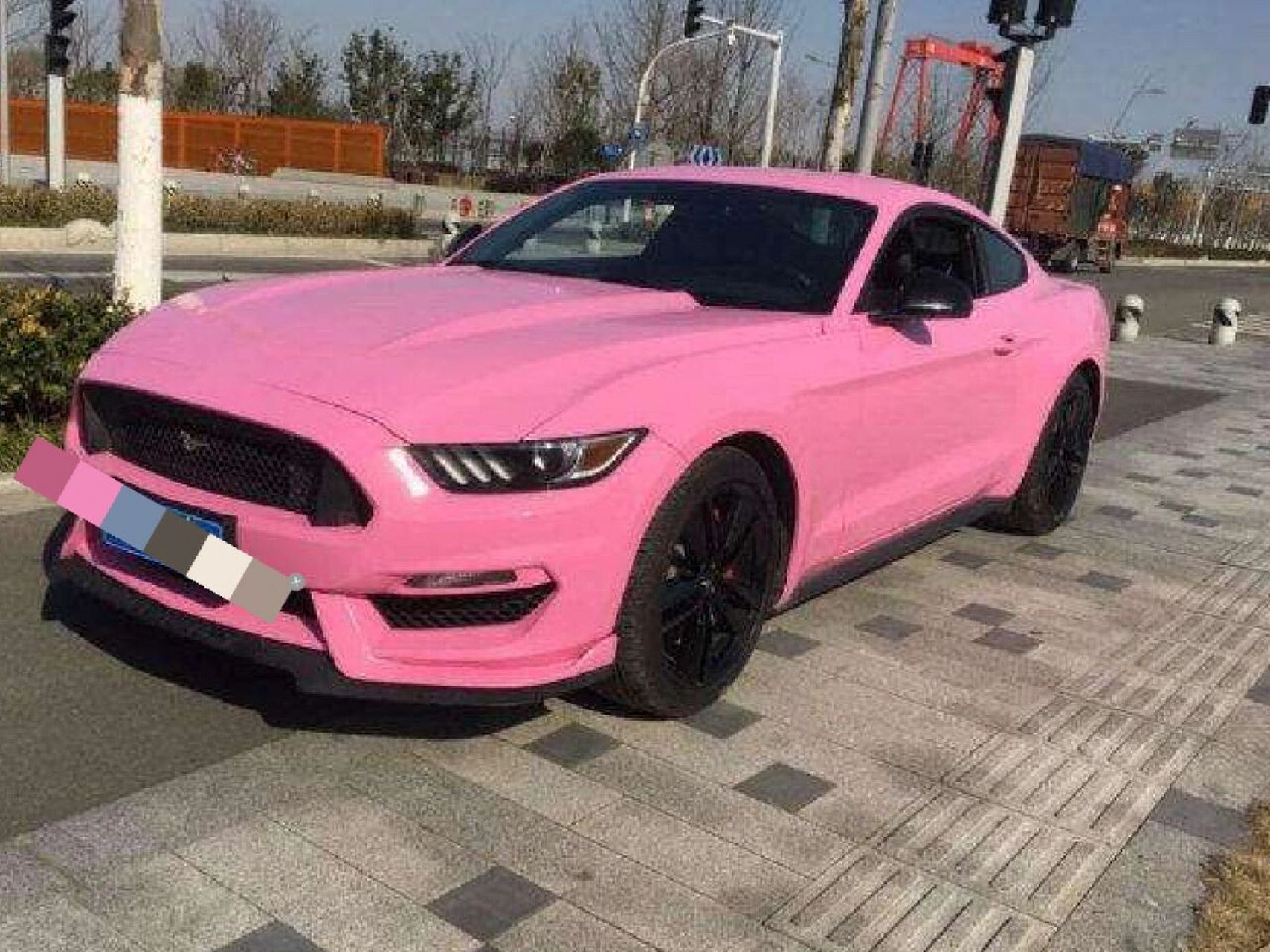 威海租车小哥哥的粉色野马(特价出) 租车 关于租车我给大家普及一下