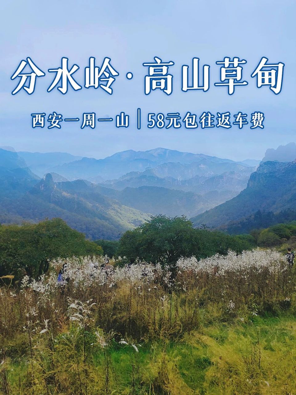 西安徒步 | 7215秦岭分水岭高山草甸徒步攻略 96分水岭高山草甸