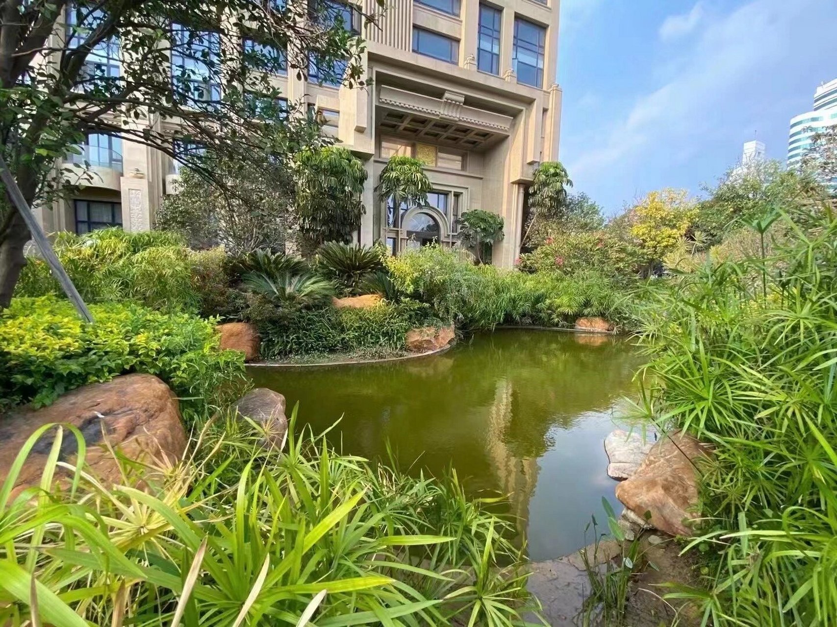 海滨路联泰~悦海湾~望海景 海滨路:联泰悦海湾(全海景) 高楼层  250