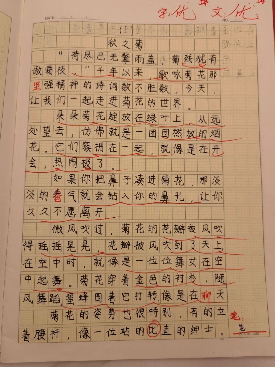 三年级下册 作文描写植物—秋之菊  今天把妞写的三年级下的语文作业