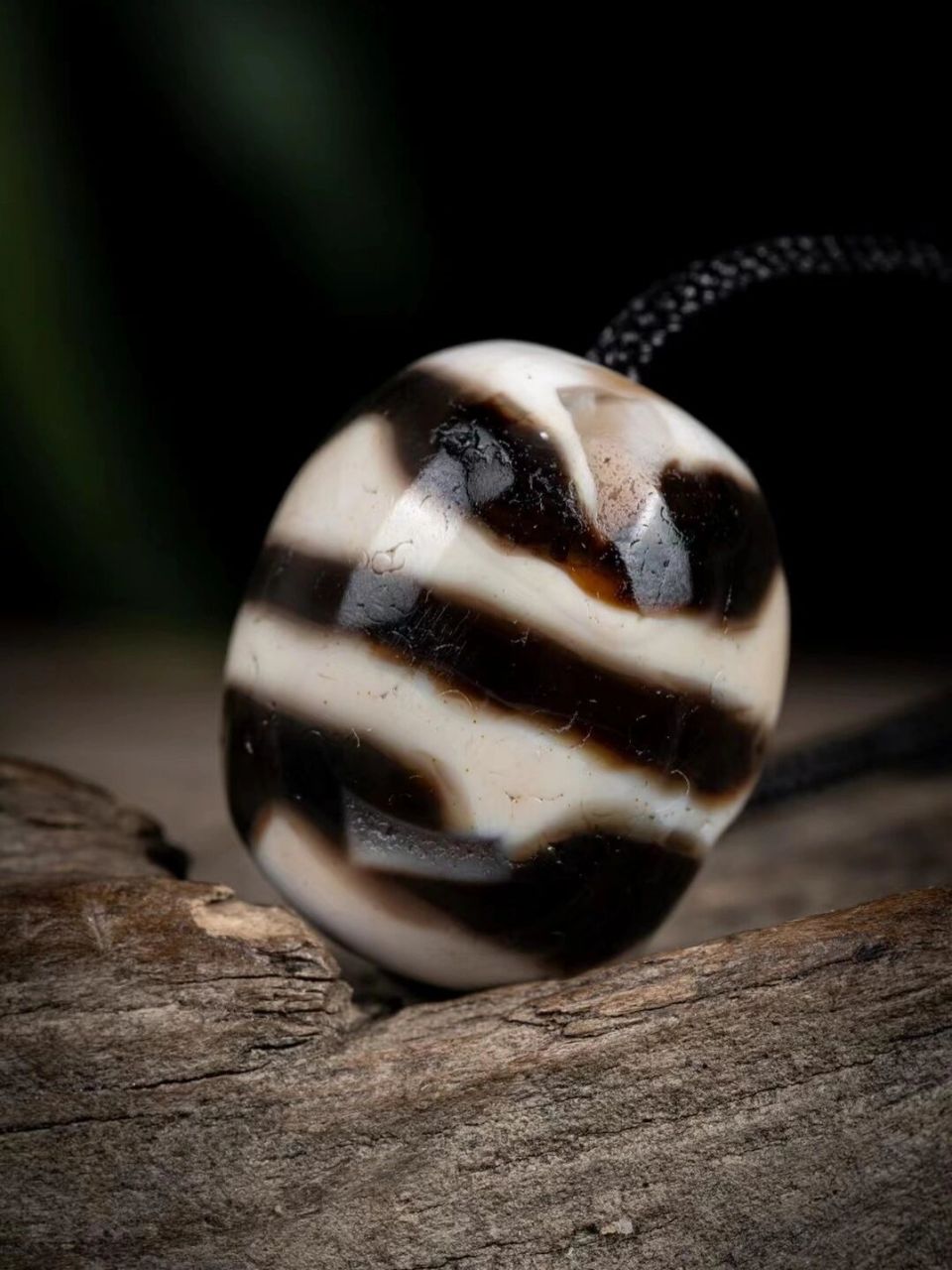 天珠怎么来的 最早的天然天珠是由海螺化石打磨而成,后来由于化石的