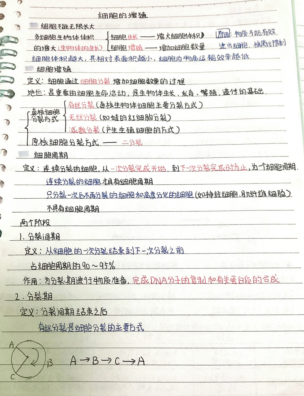 【生物】细胞的增殖笔记 高中生物必修一细胞的增殖笔记