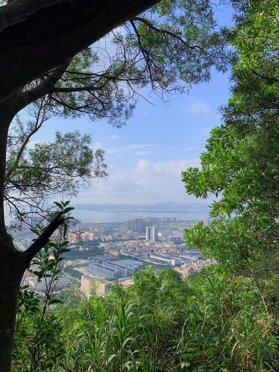 天马山厦门图片