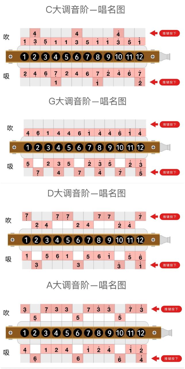 12孔半音阶的12个把位图 半音阶虽不用集齐12把琴,但常用的把位还是要