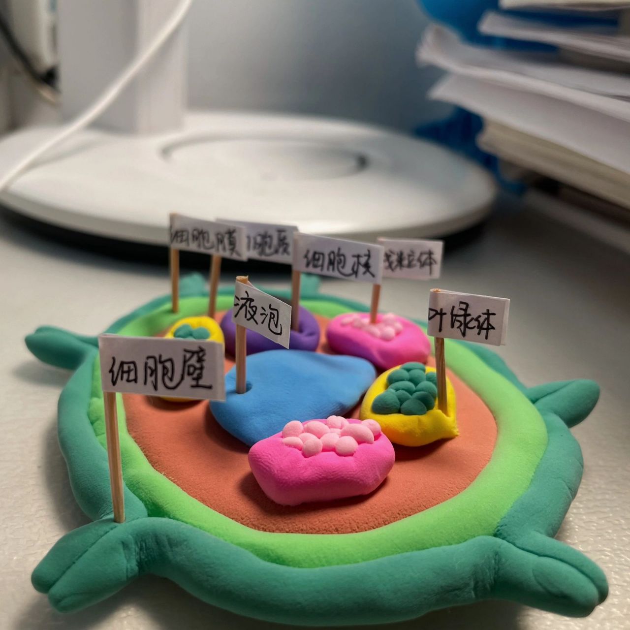 粘土手工|帮小外甥做生物细胞模型作业 在上查了好多大家做的模型 照
