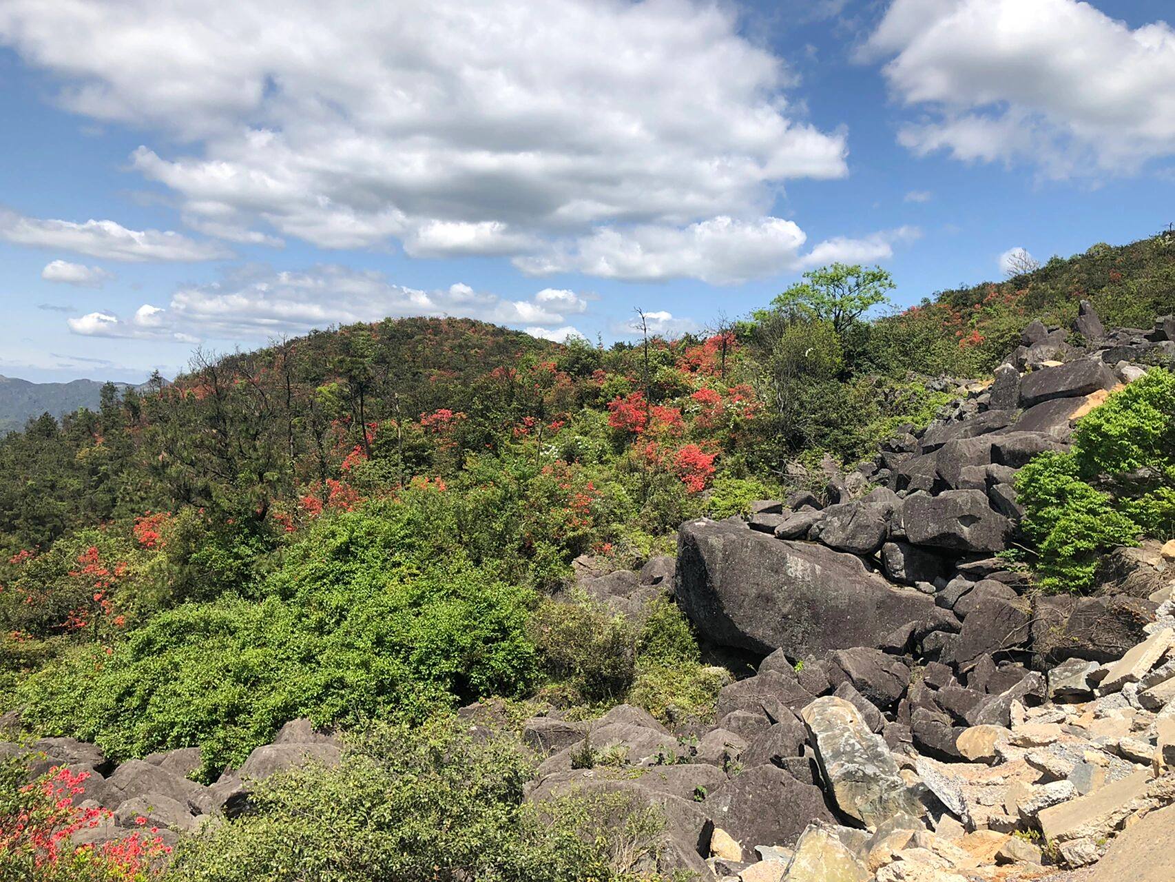 浙南旅游——苍南鹤顶山 山顶风景别致独特,杜鹃花娇艳,海天辽阔,值得