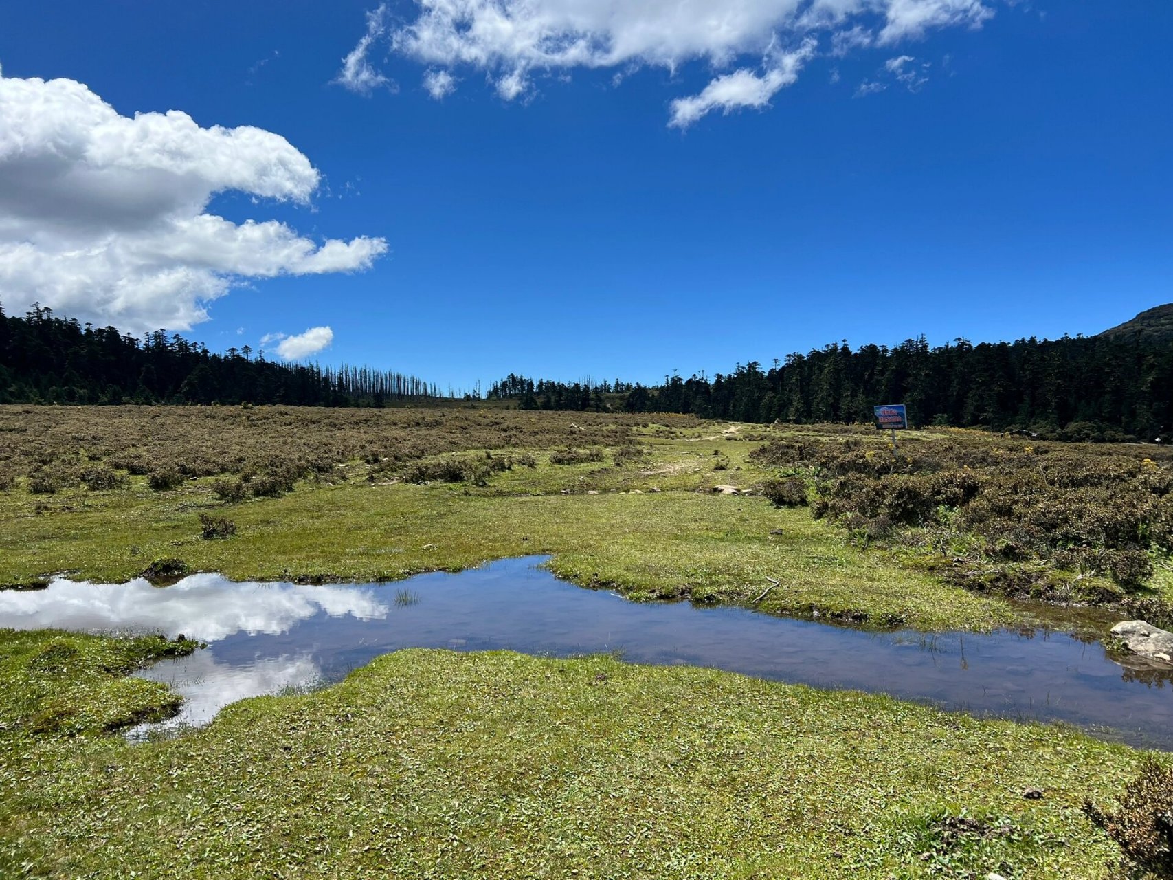 香格里拉小众徒步路线 - 小中甸千湖山 作为云南人,到香格里拉独克宗