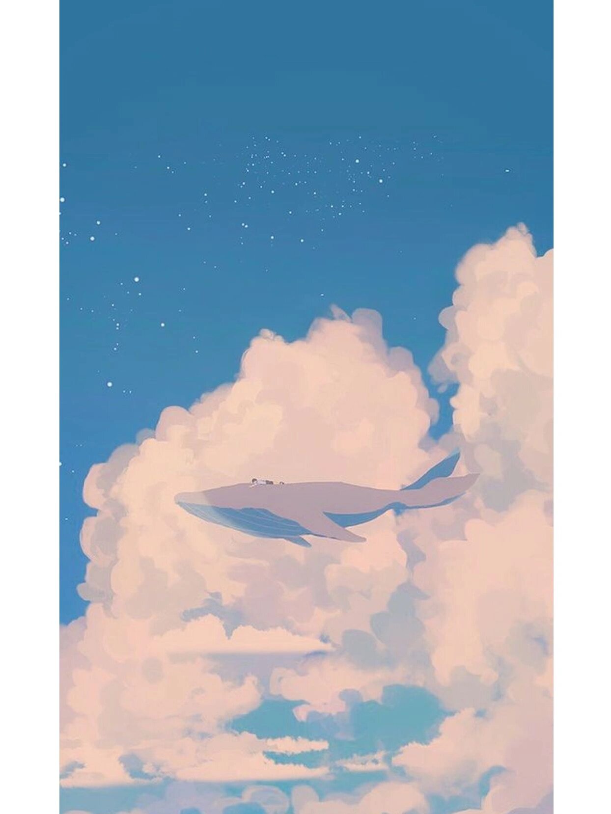 私藏壁纸43 | 世上最孤独的鲸—52hz的alice 有一头叫"爱丽丝(alice)"