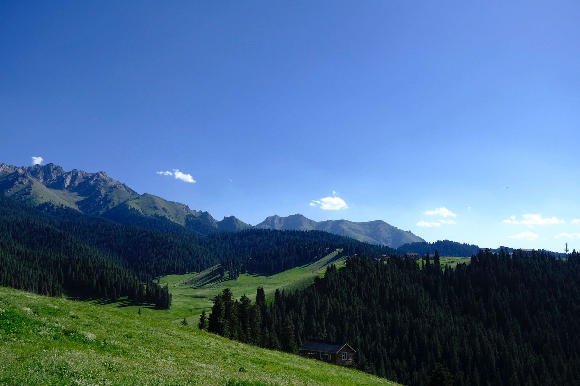 新疆小众景点——一万泉风景区 如题,在乌鲁木齐旁边的奇台县有个